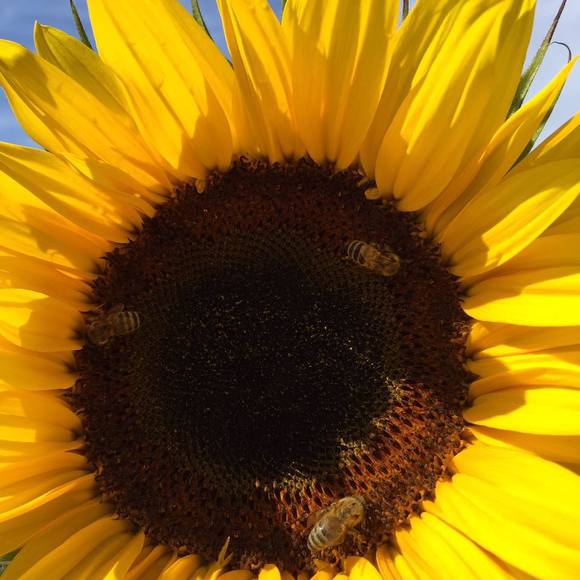 Meet your Posher, Lori - Picture 1 of 1